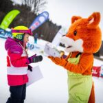 lipno-fox