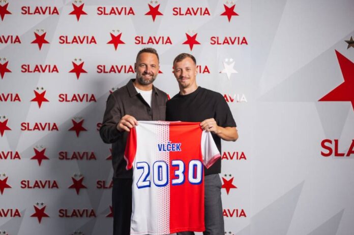 Vlček