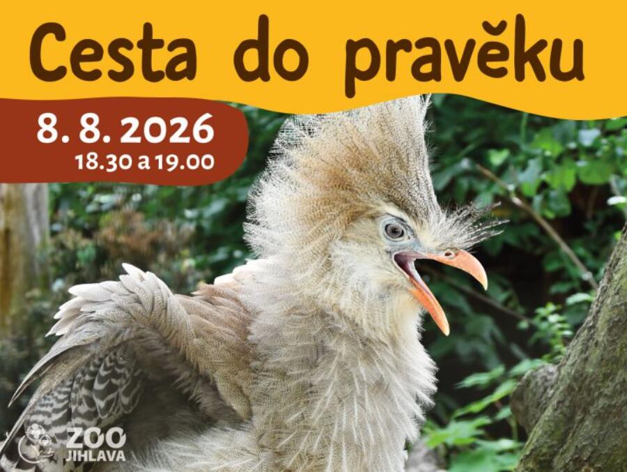 obrázek 2026 08 07 163734347
