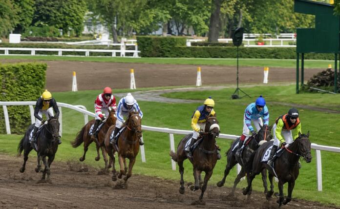 Velká pardubická